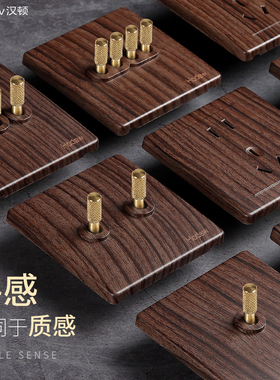 汉顿黄铜拨杆BY开关插座面板多孔一开5五孔双控墙壁家用暗装暗线