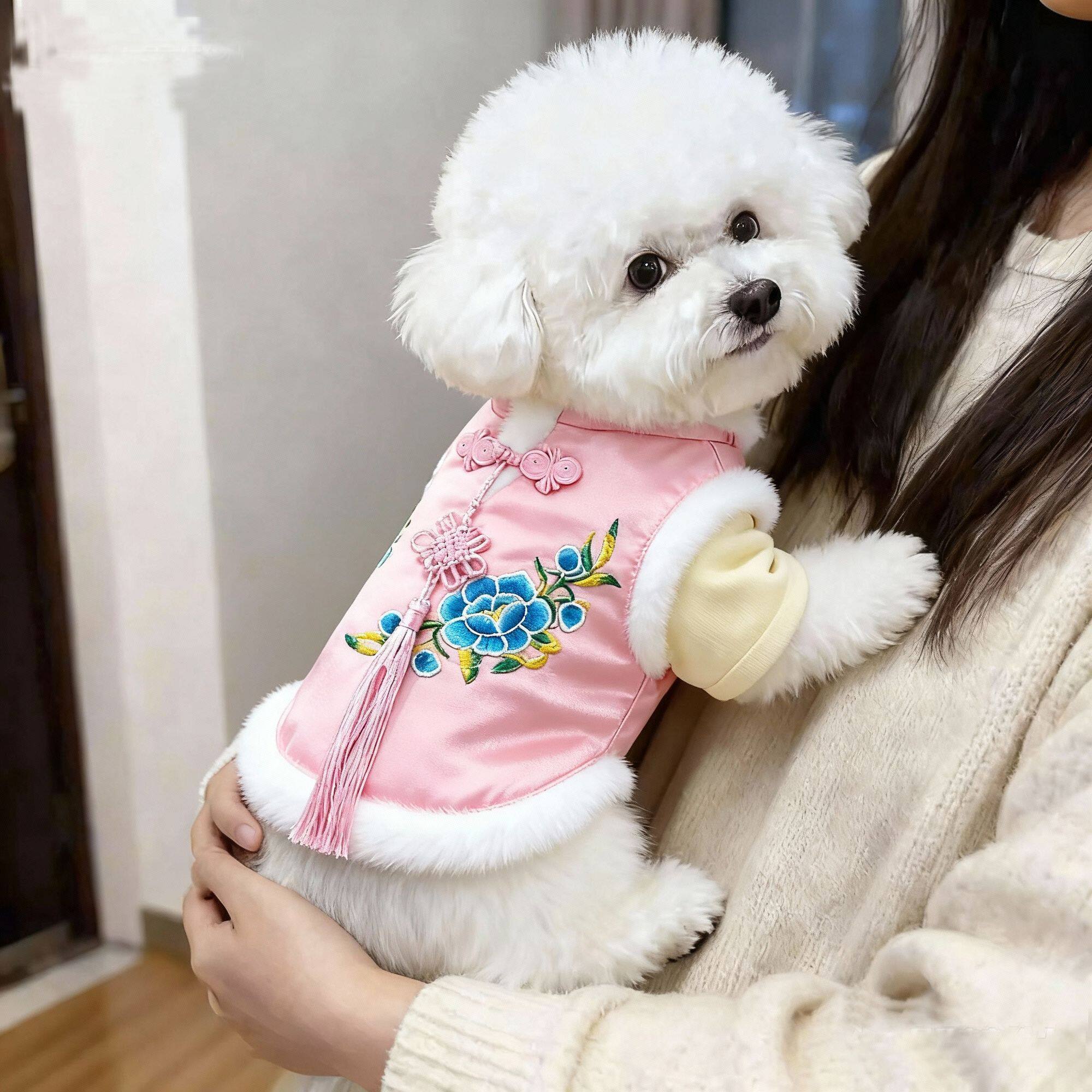小狗狗衣服秋冬新年款泰