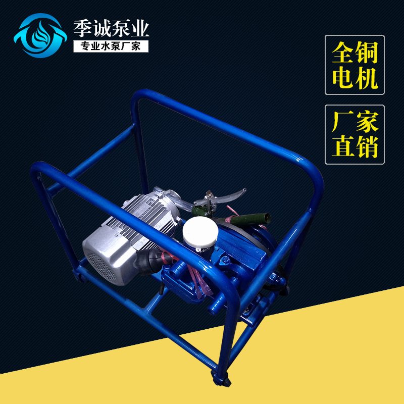 JB-70型手摇、电动两用计量加油泵 无叶轮手摇泵 铸铁泵