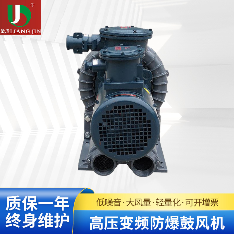 梁瑾工业低噪音高压变频防爆鼓风机变频防爆风机