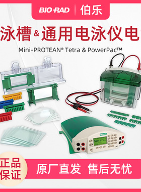美国伯乐电泳仪1645050小型垂直电泳槽Biorad电泳仪1658001