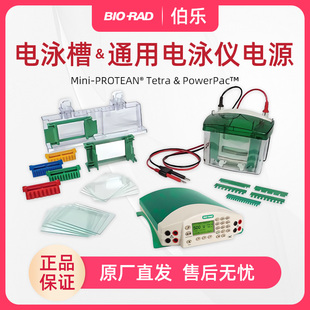 美国伯乐电泳仪1645050小型垂直电泳槽Biorad电泳仪1658001