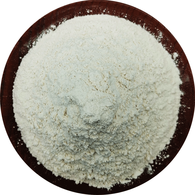洋葱粉500g现磨牛排纯食用调味料