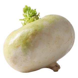 新疆阿克苏柯坪县恰玛古新鲜蔬菜芜青蔓青诸葛菜强碱性食物5斤