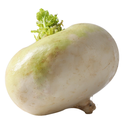 瑞疆源新疆恰玛古蔬菜产地直发