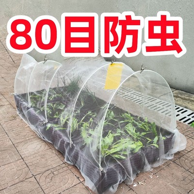 种菜箱防虫网80目纱网露天支撑杆