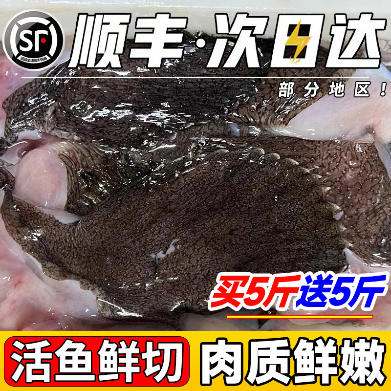 安康鱼安康鱼翅膀新鲜鱼鳍巴沙鱼鳍翅鱼肚鱼尾深海鱼海鲜水产生鲜