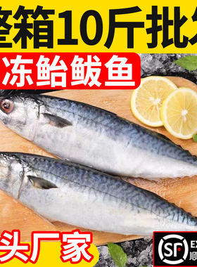 新鲜鲐鲅鱼冷冻鲜活鲅鱼新鲜青占鱼整条鲐鱼深海捕捞燕青鱼鲭鱼