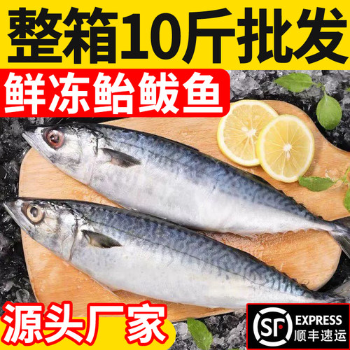 净重无冰！鲐鲅鱼特价！顺丰包邮