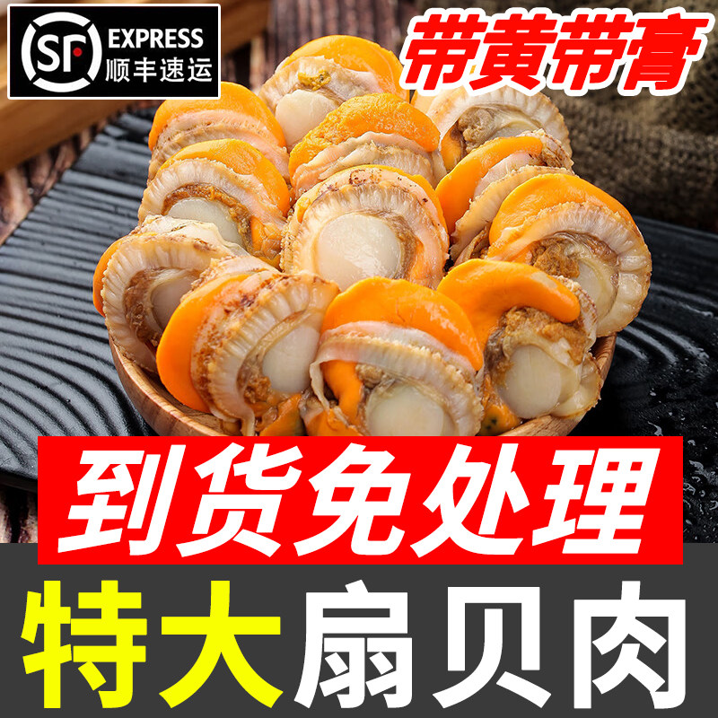 新鲜扇贝肉冷冻海鲜红贝烧烤商用蒜蓉粉丝无冰衣长岛扇贝肉5斤
