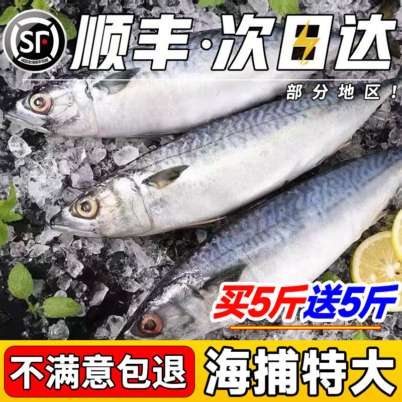 新鲜鲐鲅鱼深海海鱼特大青占鱼整条青花鱼青鱼非鲅鱼鲭鱼海鲜水产