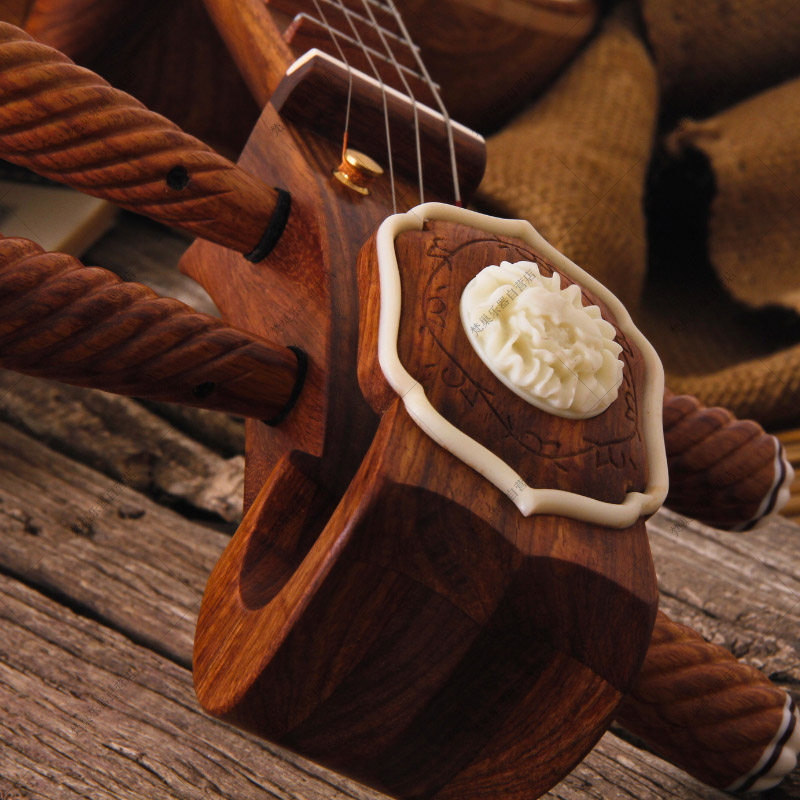 儿童初学入门艺考如意琴头中阮乐器厂家直销赠配件8801ZR-T-B