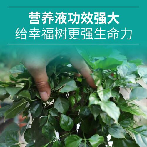 腐植酸盆栽植物花卉蔬菜有机液体花肥通用发财树多肉绿萝营养液