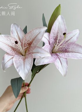 仿真花假花复古秋色2头百合北欧简约客厅餐桌摆件装饰花百合B295