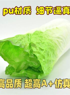 仿真蔬菜道具果蔬饰品套装假白菜黄瓜生菜西蓝花食物教具装饰摆件