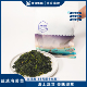 包 澳角帆船 盐渍海带苗500g 3包东山岛海带苗海带丝
