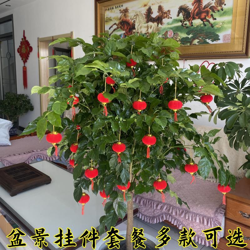 元旦结婚小笼挂饰装饰场景布置防水室内盆景小挂件盆景小灯笼红色