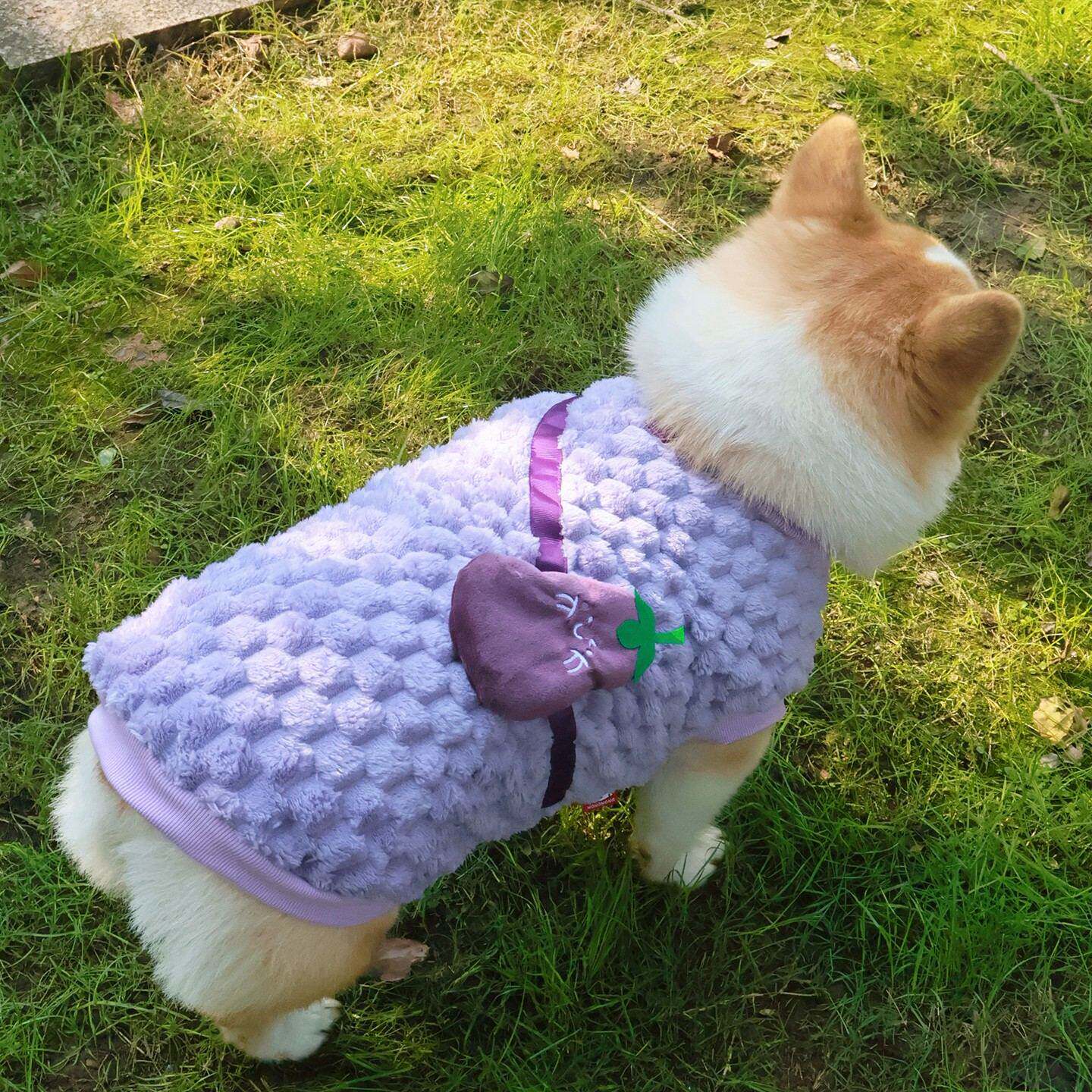 柴犬柯基泰迪腊肠狗狗衣服秋冬装保暖毛绒漂亮马甲加绒防掉毛背心