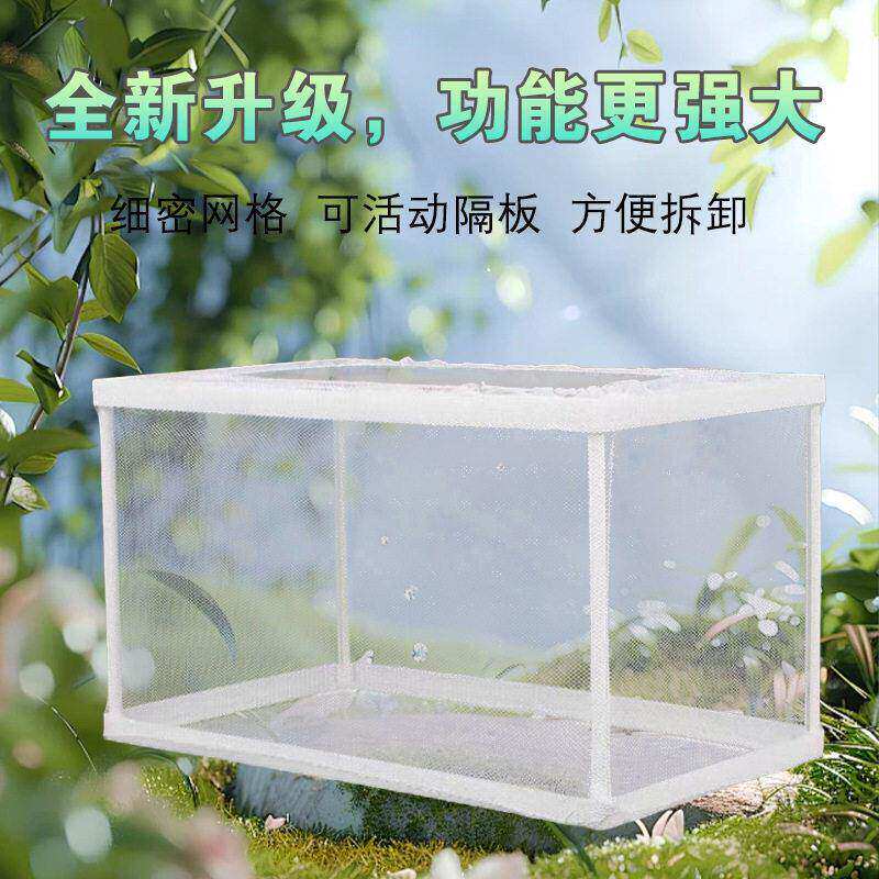 孔雀鱼隔离繁殖盒独立鱼缸网水族箱器盒网鱼缸孵化器繁殖箱孵鱼槽