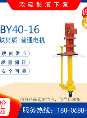 GBY40-16铸铁浓硫酸液下泵GBY25-16 耐腐蚀化工泵 电动输送泵泵头