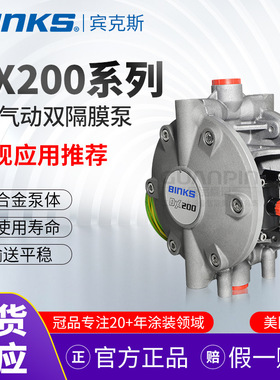 美国BINKS 宾克斯 DX200AN双隔膜泵 1:1铝合金气泵油漆喷涂输送泵