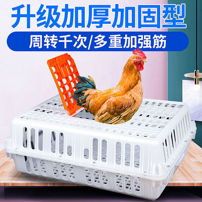 品鸡笼周转箱长方形加厚家禽运输筐子鸭笼装鸡的塑料框鸡笼塑料