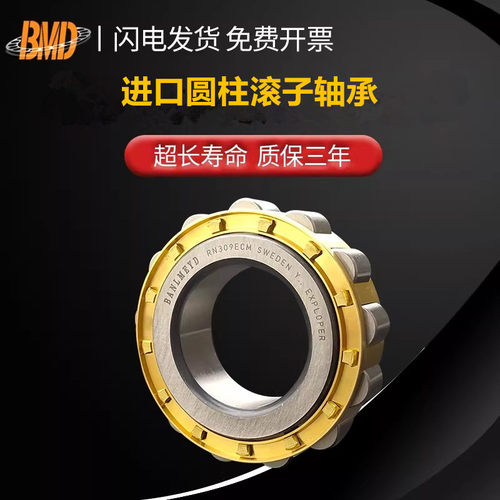 瑞典BMD圆柱滚子进口轴承