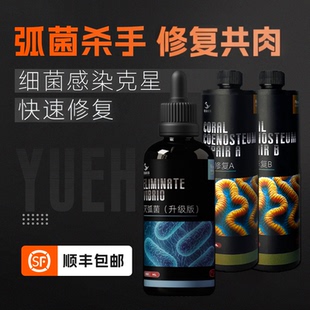 粤海灭弧菌布朗冻珊瑚细菌感染火柴共肉修复海水鱼内疾花肠炎针叶