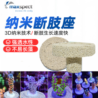 迈光珊瑚基座断肢断枝SPS底座3D纳米材料多孔强透水生长速度快