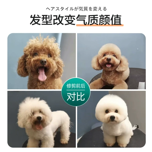 Петумические ножницы для ножницы для собак сдвиг