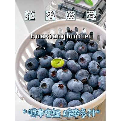 【顺丰空运】大凉山西昌花香蓝莓L25新鲜现摘脆甜香蓝莓大果礼盒