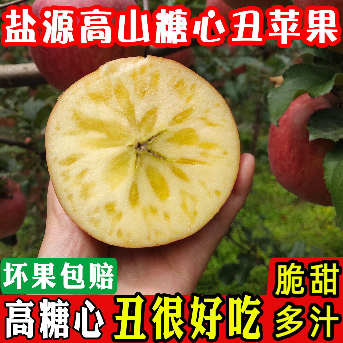 盐源糖心苹果！高山糖心苹果脆甜