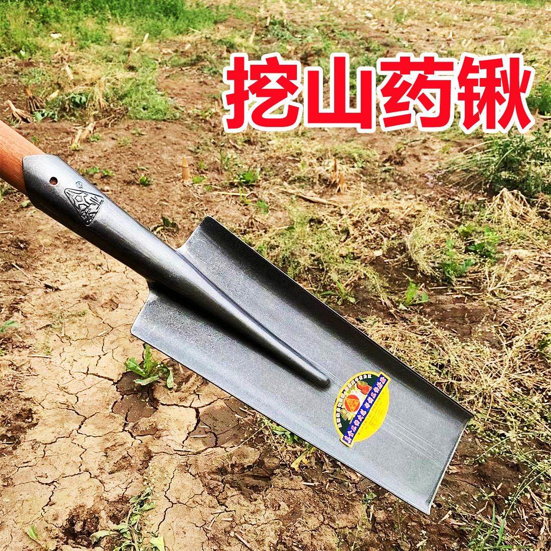 挖山药专用锹全钢加厚农用挖沟尖头平头窄口铲子户外园艺工具农具,农机/农具/农膜,铲子,淘宝优惠券,粉丝福利购,淘宝优惠卷