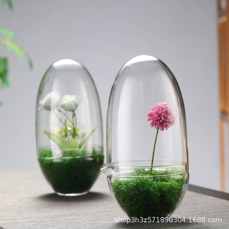 微景观蛋形瓶玻璃罩生态瓶摆件透明绿植物展示盒防尘盒水培瓶花瓶