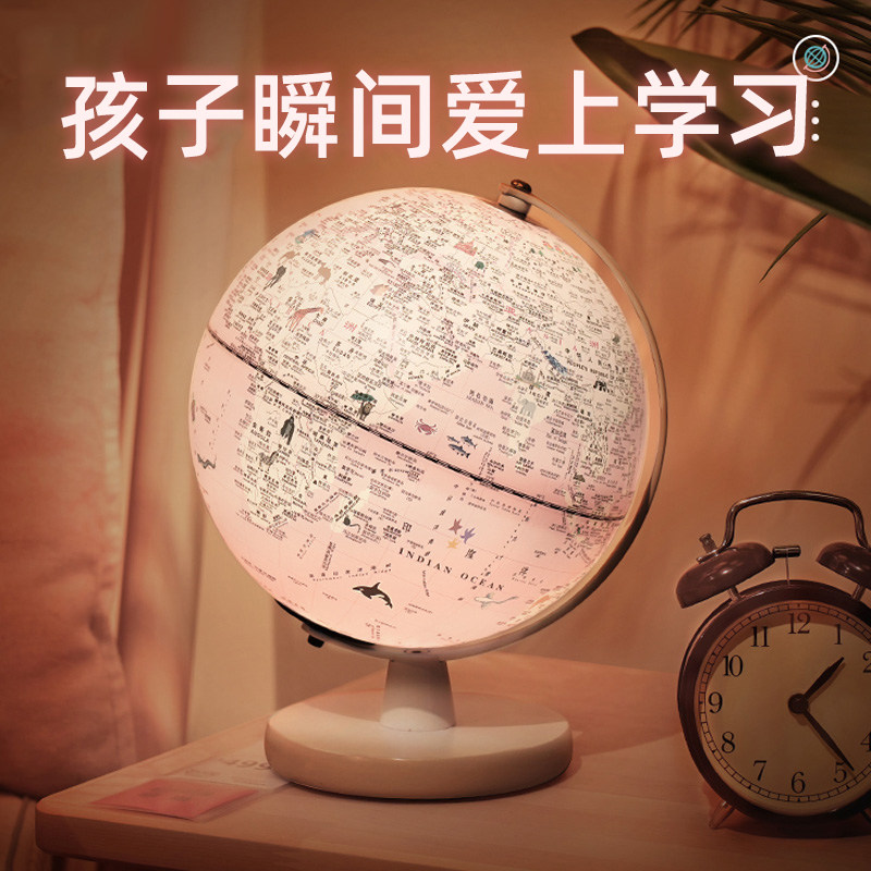 生日礼物送儿童小女孩子实用的惊喜12女童10岁11地球仪13十小学生