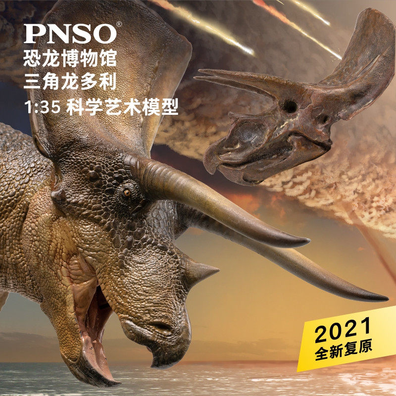 PNSO新版三角龙多利附三角龙头骨恐龙博物馆1比35科学艺术模型使用感如何?