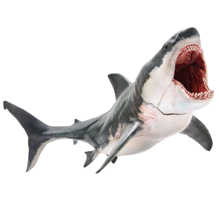 PNSO巨齿鲨巴顿恐龙大王成长陪伴模型15