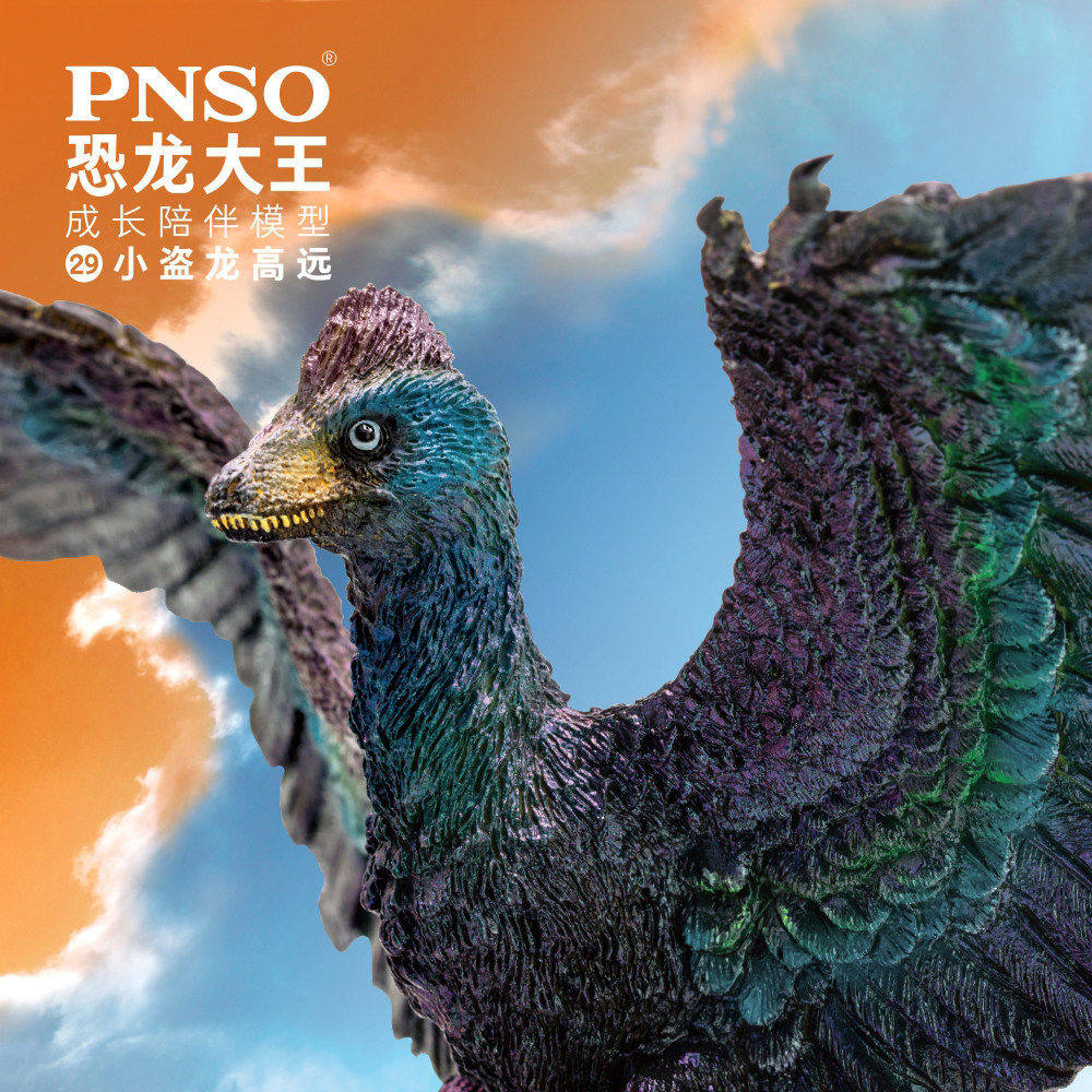 PNSO小盗高远大王成长陪伴模型图片