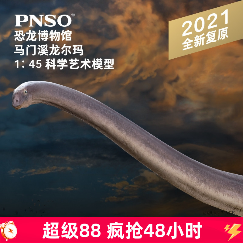 门溪龙尔玛恐龙PNSO博物馆45