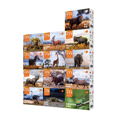 成长陪伴动物PNSO狮子