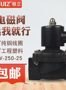 徽正塑料电磁阀2W-250-25开关阀 DN25水阀 G1″ 1寸 220V/24V常闭