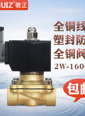 2W-160-15 4分室外防潮防水全铜电磁阀UW-15水阀可长时间通电220v