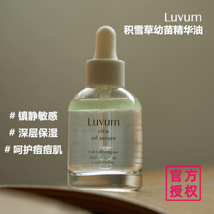 韩国Luvum年幼积雪草精华油舒缓修复镇静淡化痘印敏感肌精华