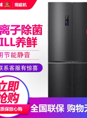 容声 BCD-515WD11FPA 家用十字对开门冰箱一级变频无霜除菌等级机