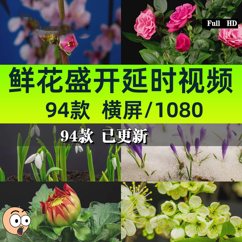 鲜花盛开生长过程发芽开花植物春天春暖花开绽放实拍视频素材