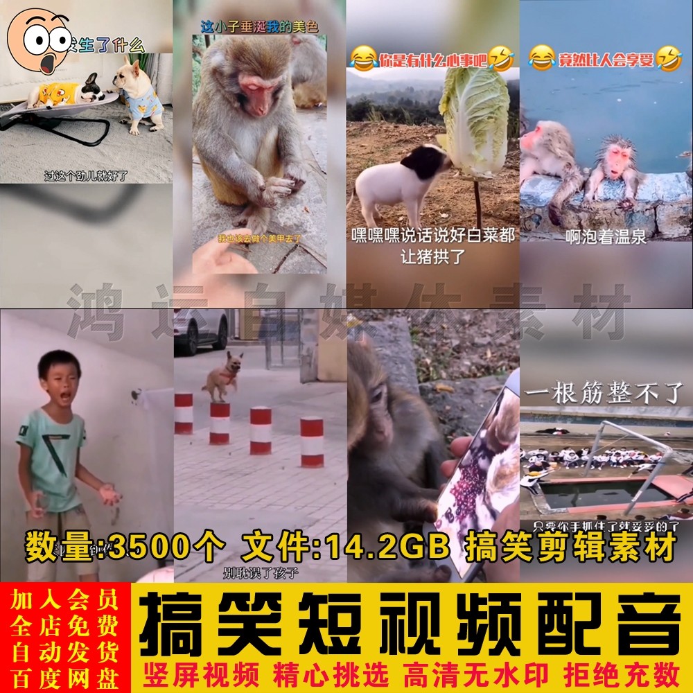 搞笑短视频配音对话幽默短视频旁白解说讲解自媒体剪辑制作素材