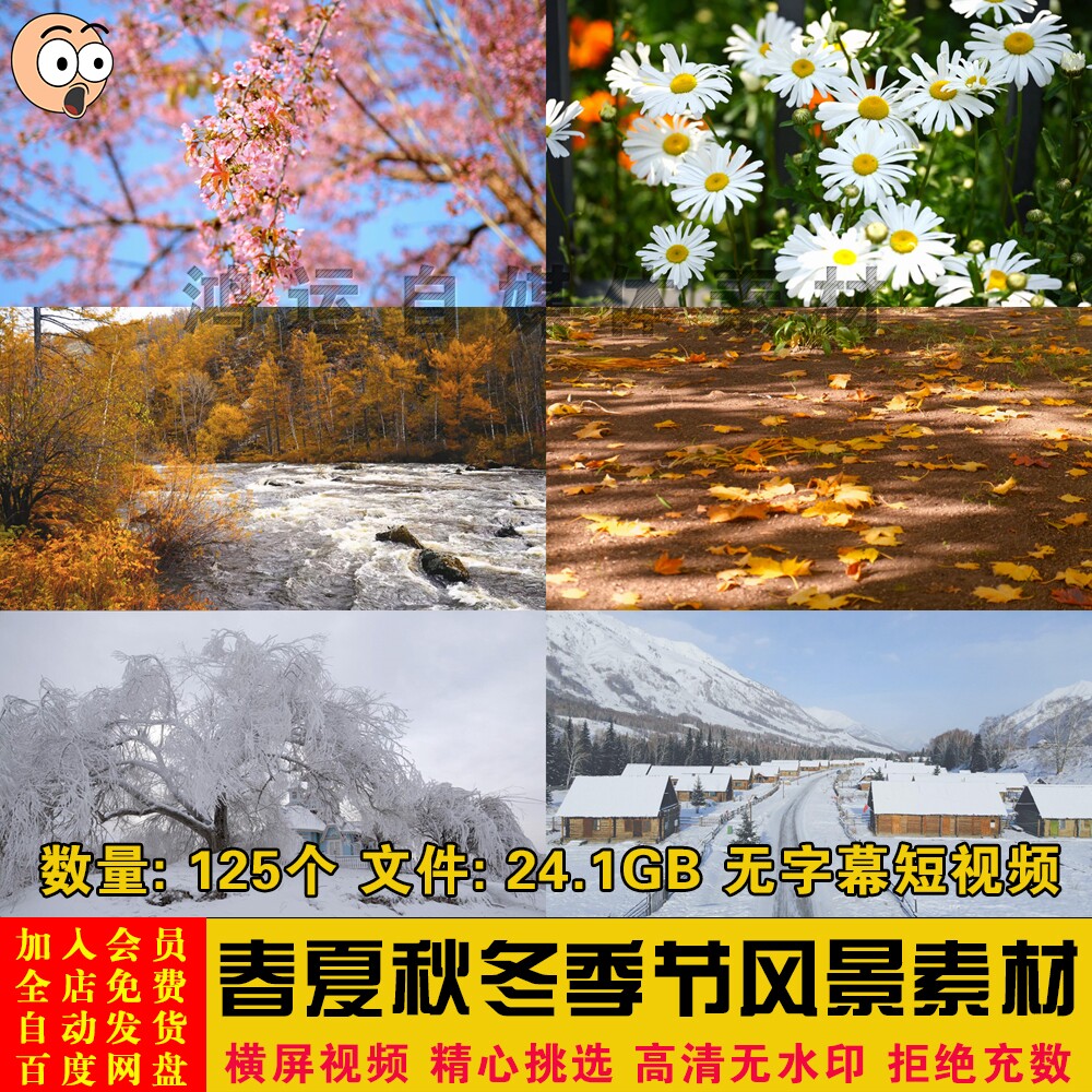 春夏秋冬季节天气四季花朵绿叶下雪雪景风景短视频剪辑制作素材