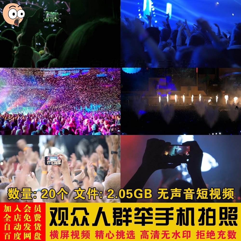 演唱会现场观众人群现场举手机拍照特写抖音快手短视频剪辑素材