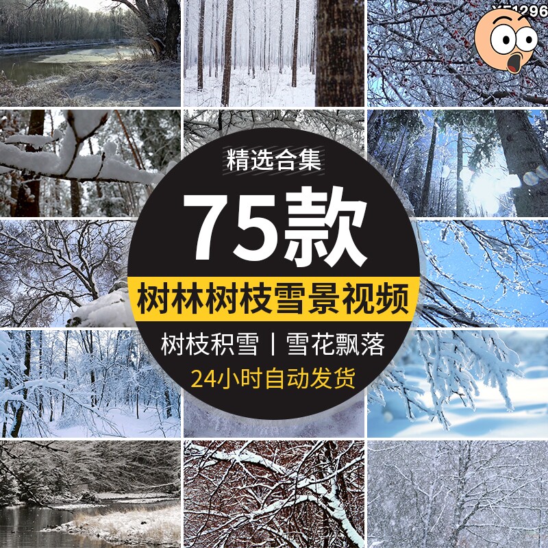 冬季雪天树林森林树枝头积雪冬天大雪花飘落枯树下雪地面视频素材