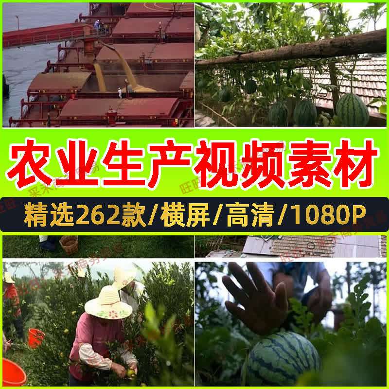 农业发展生产视频素材乡村风景农民机械化种植农作物插秧稻穗麦田